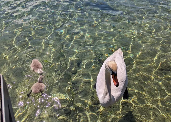 Seehaus Miglbauer Daire